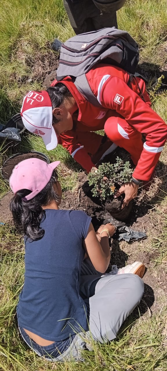 Conciencia Ambiental